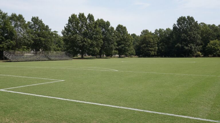 No. 23 Clemson women host Florida State at Riggs Field